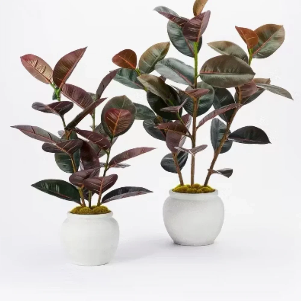 Threshold Faux Rubber Plant in White Ceramic Pot - Green and Burgundy Foliage